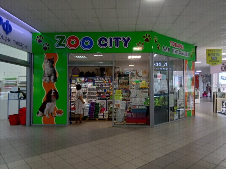 Zoo City