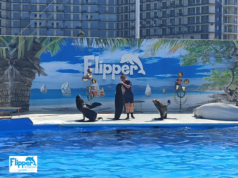 Flipper