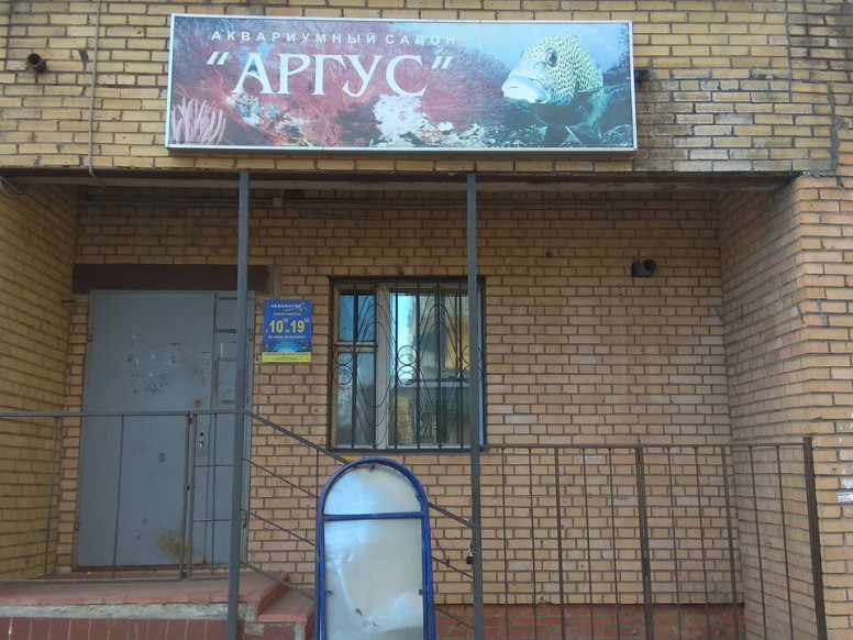 Аргус