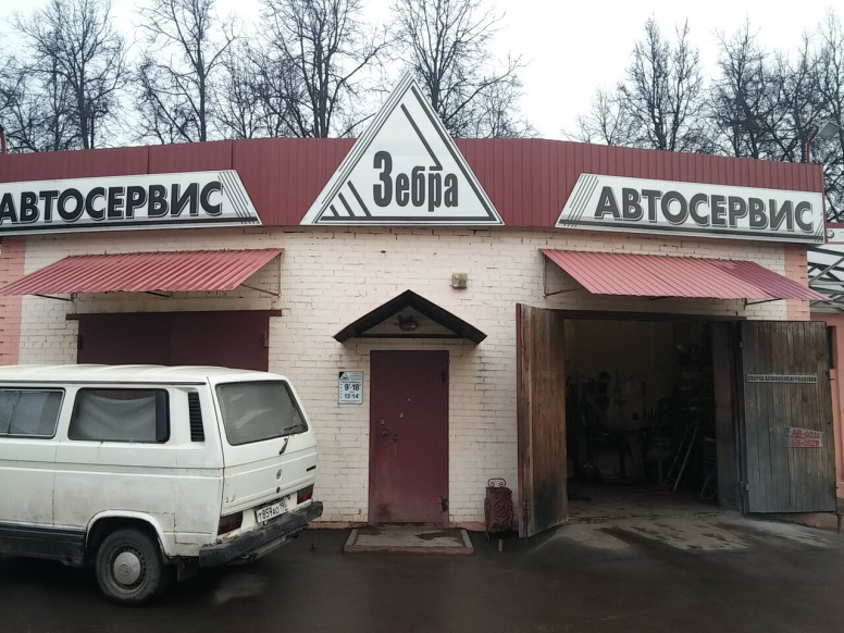 Зебра