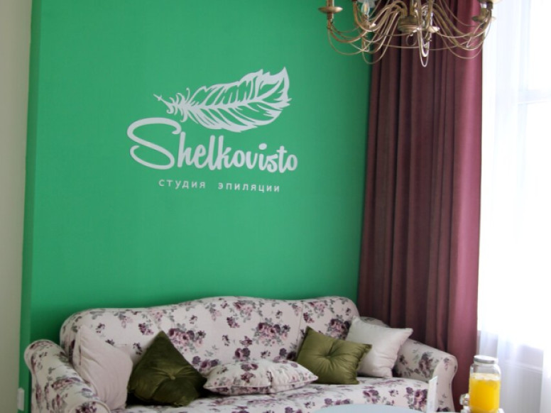 Shelkovisto