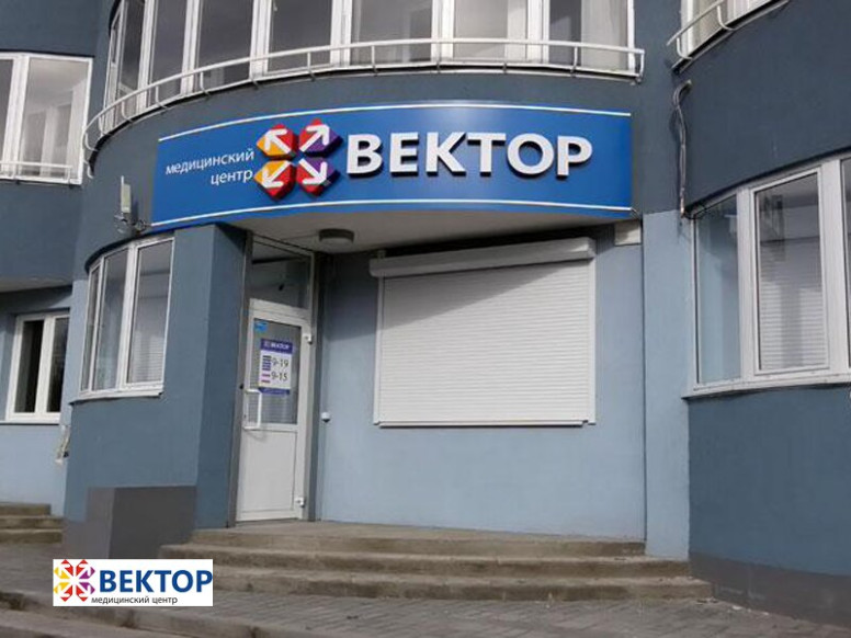 Вектор