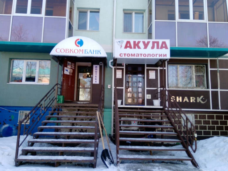 Акула