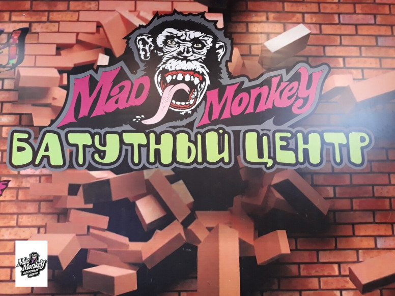 Mad Monkey