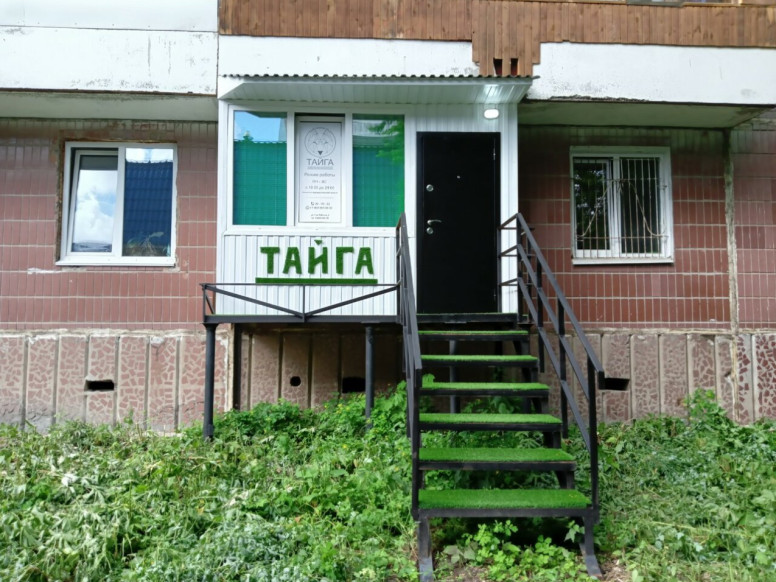 Тайга