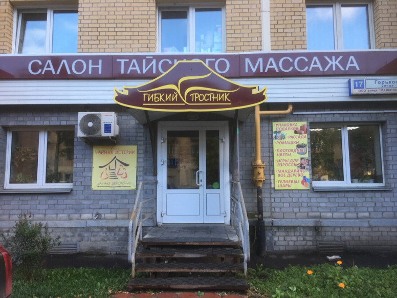 Гибкий тростник