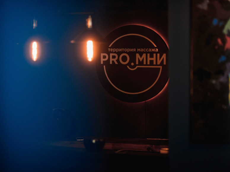 Pro. Мни