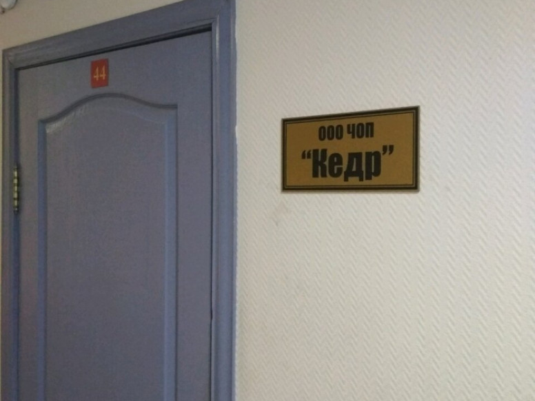 Кедр