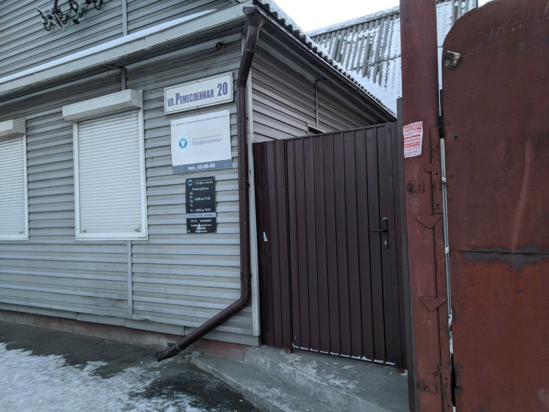 Профессионал