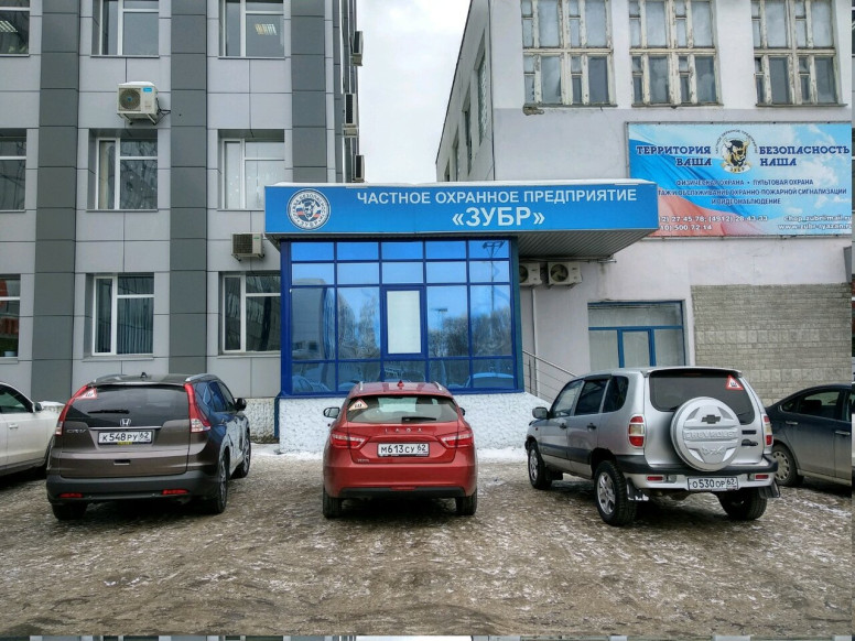 Зубр
