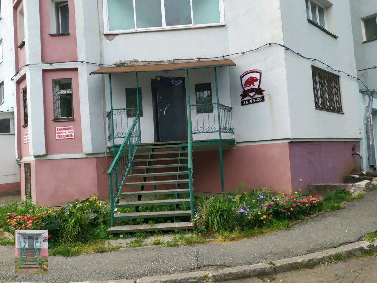 Мангуст