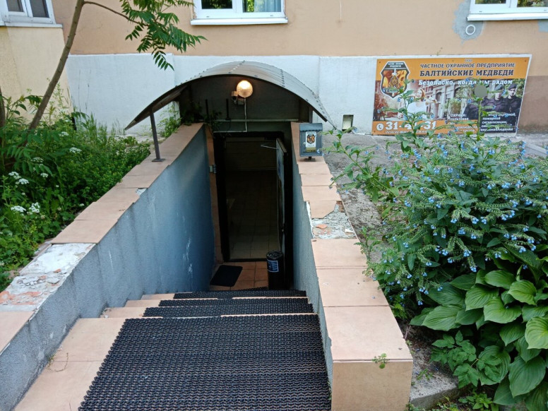 Балтийские медведи