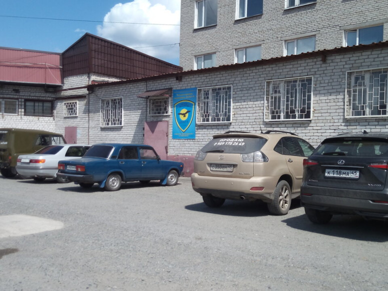 Беркут