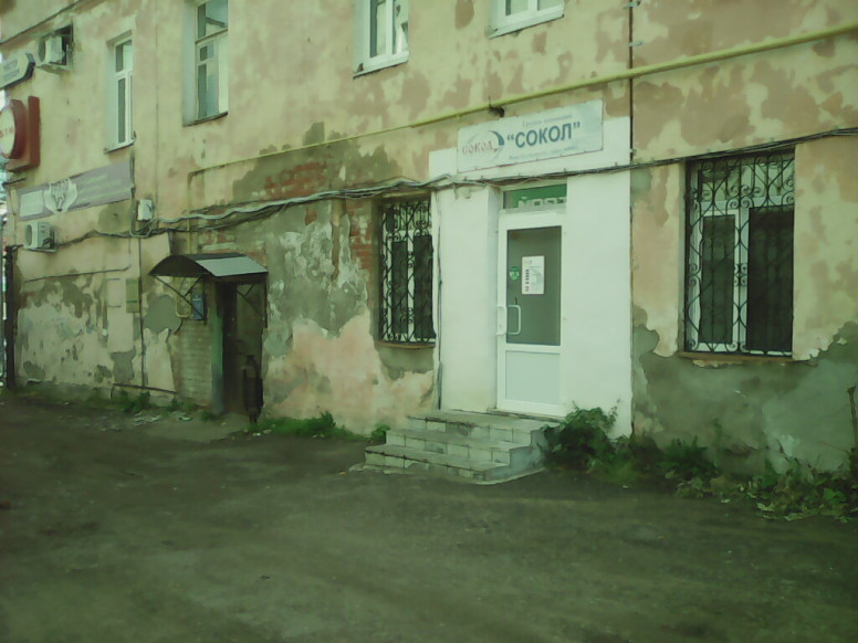 Сокол