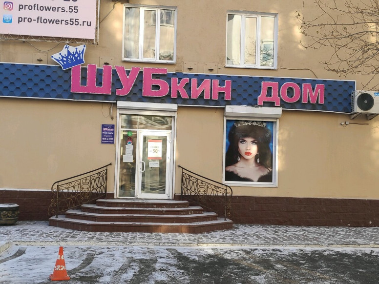 Шубкин дом