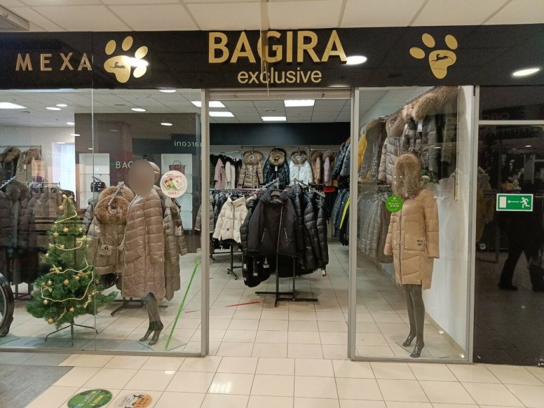 Bagıra exclusive