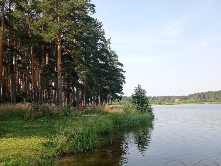 Отделение дневного пребывания ГАУ КЦСОН Октябрьского района...