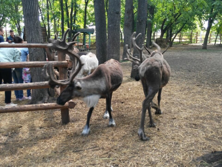 Живой уголок Сказка