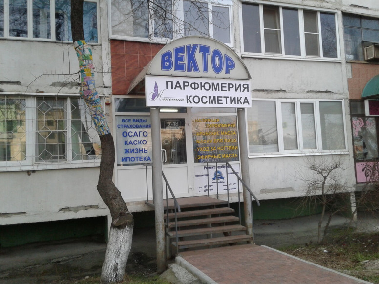 Вектор