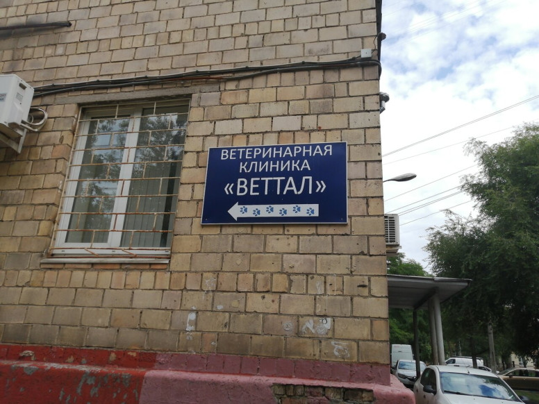 Веттал