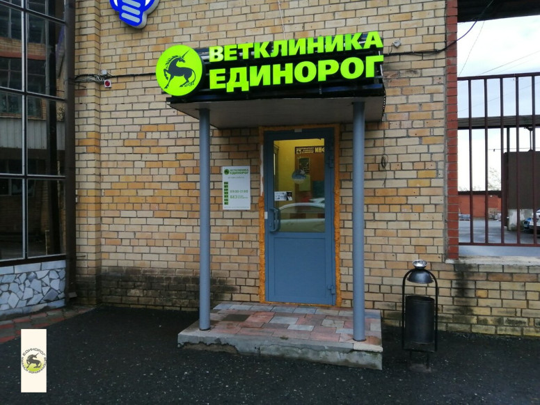 Единорог