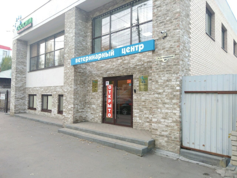 ЗооСити