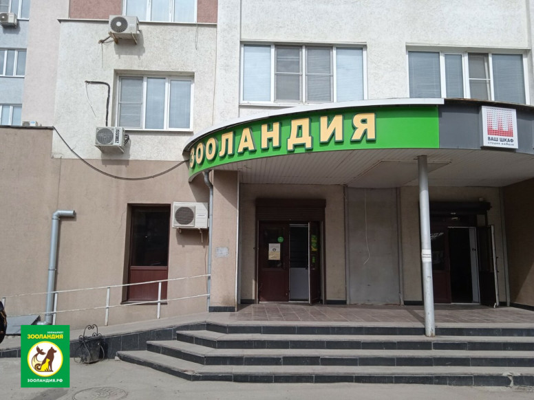 Зооландия