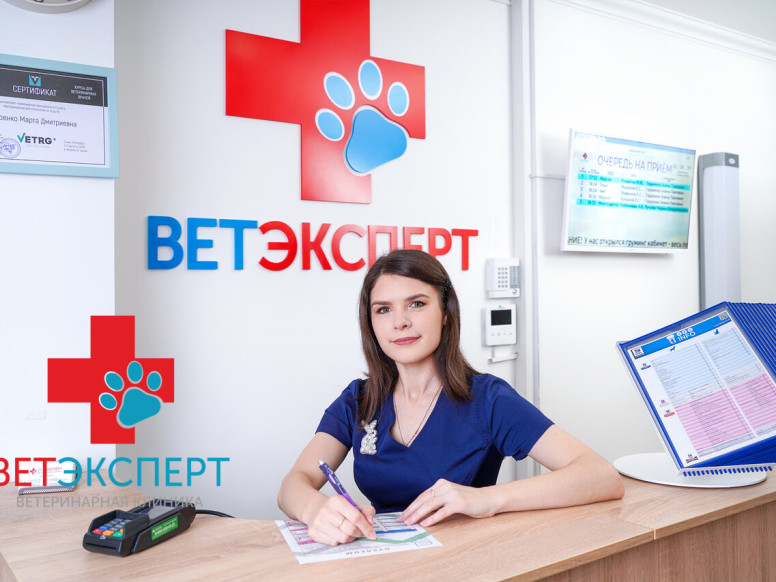 Ветэксперт