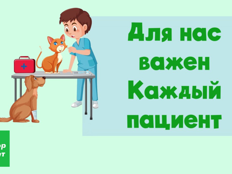 Ветеринарная клиника Доктор Вет