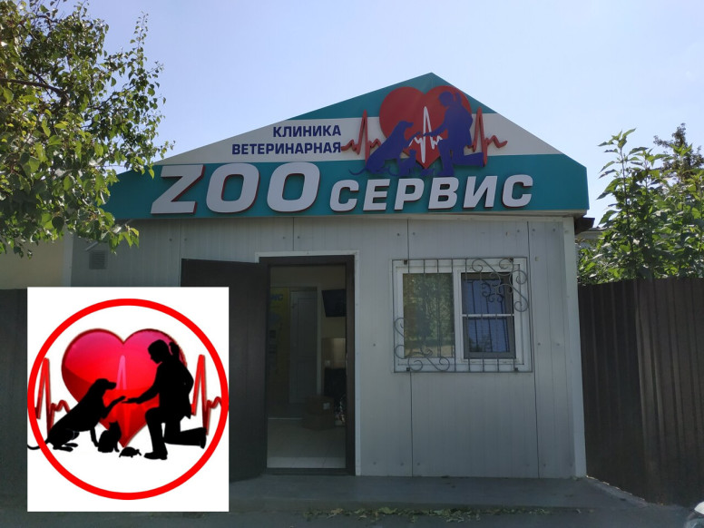 Zoo сервис