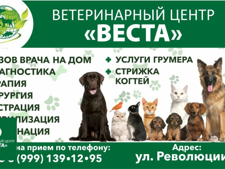 Веста