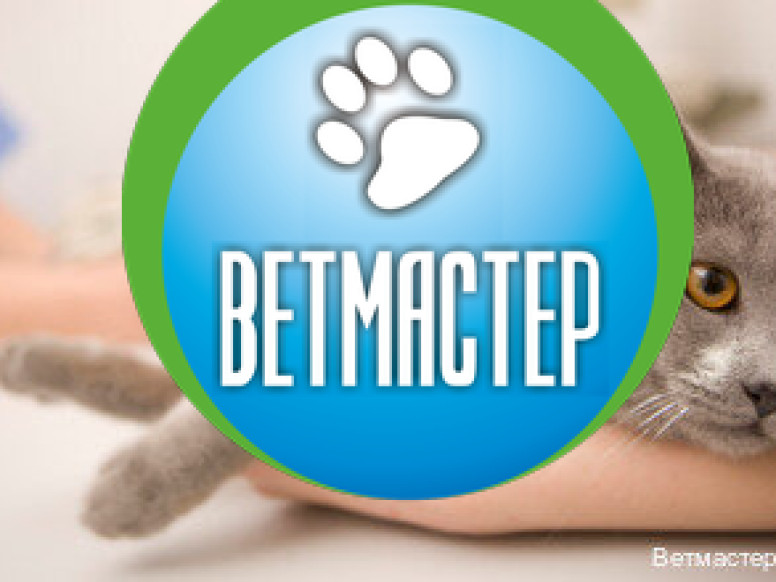 Ветмастер