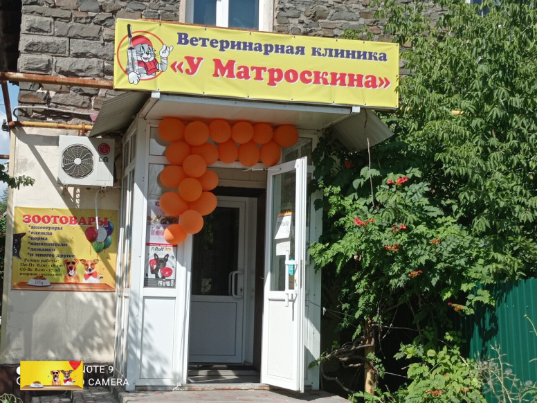 У Матроскина