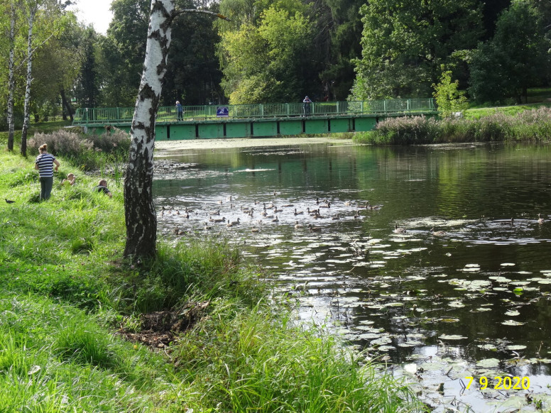 парк имени Карбышева