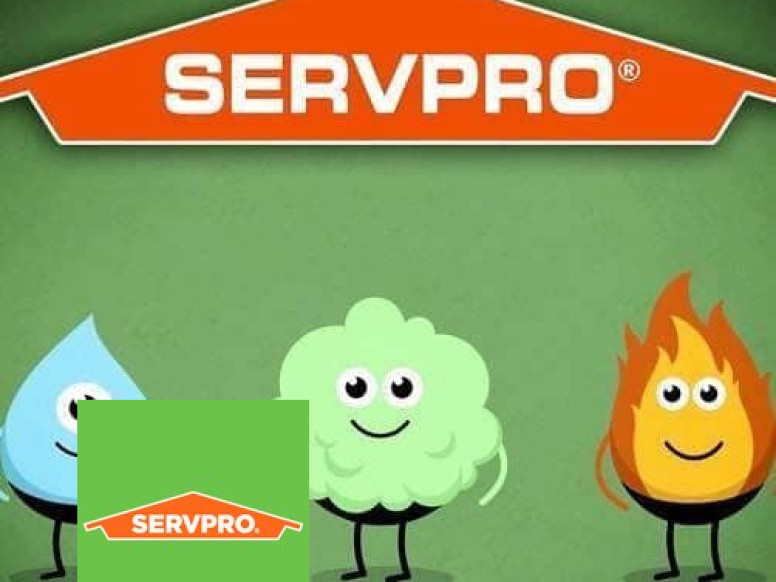 Servpro Of Allston, Brighton & Brookline