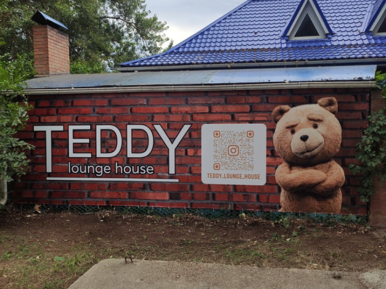 Teddy Lounge & House