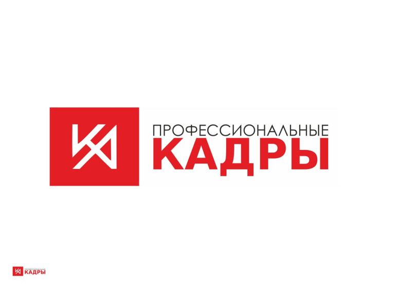 Профессиональные Кадры