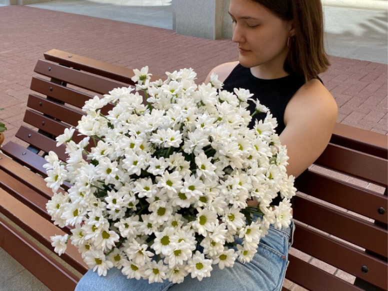 Цветландия24