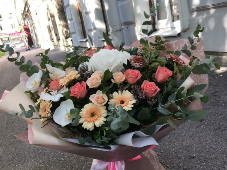 Роза Ветров