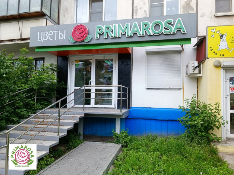 Примароза