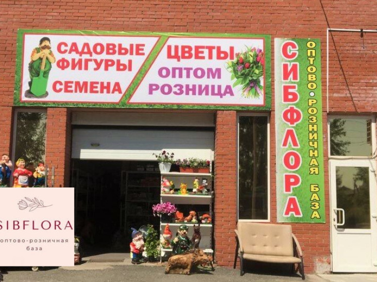 Сибфлора