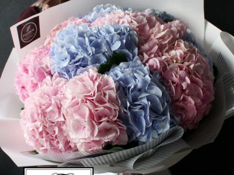 Fashion Flowers