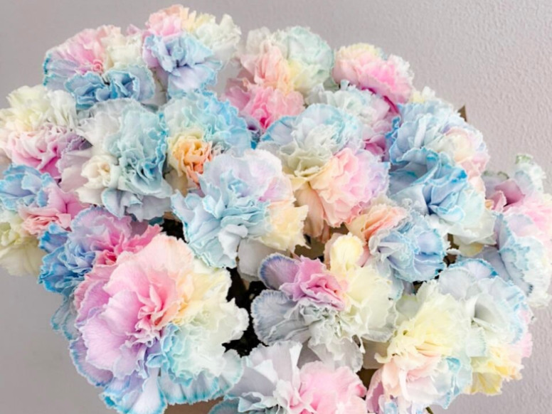 Flowers & Beauty