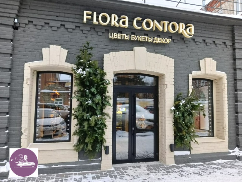 Флора Контора