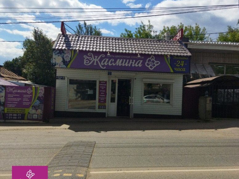 Жасмина