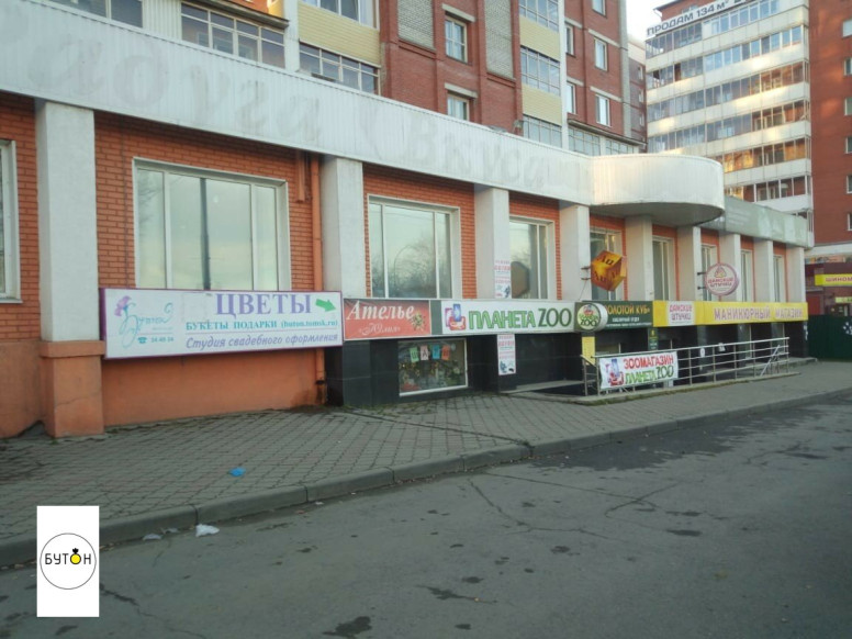 Бутон