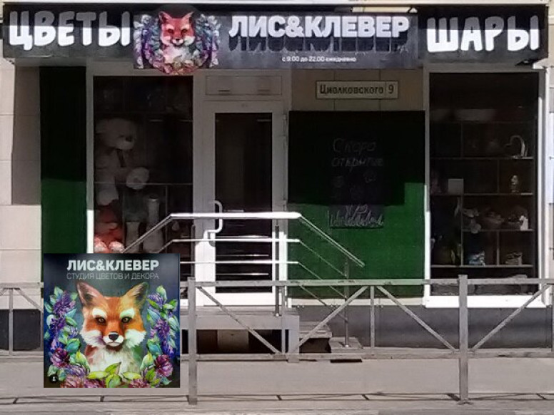 Лис & Клевер
