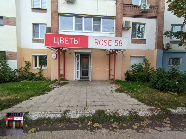 Rose 58