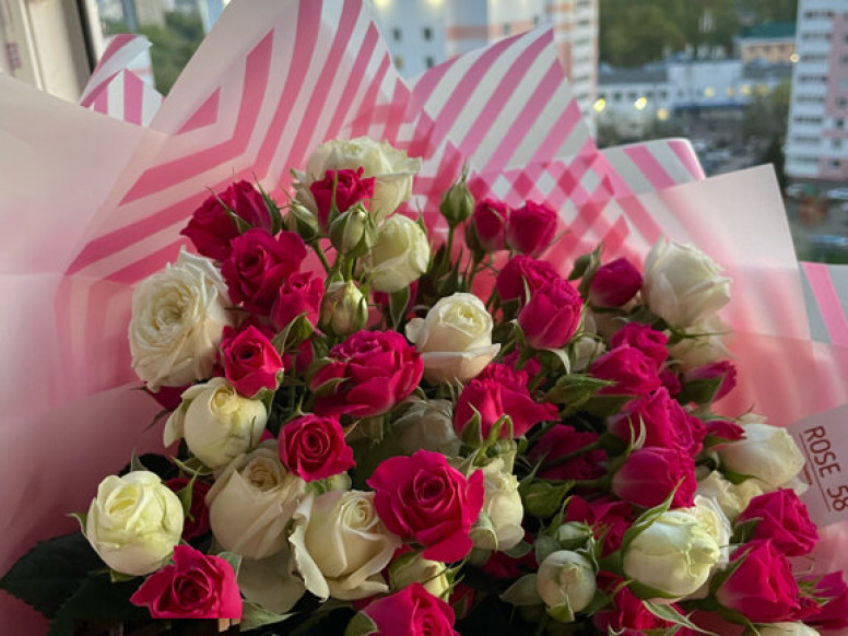 Rose 58