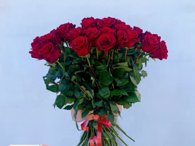Северцвет
